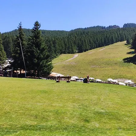 Dadalli's Family - A 2 Passi Da Campo Smith